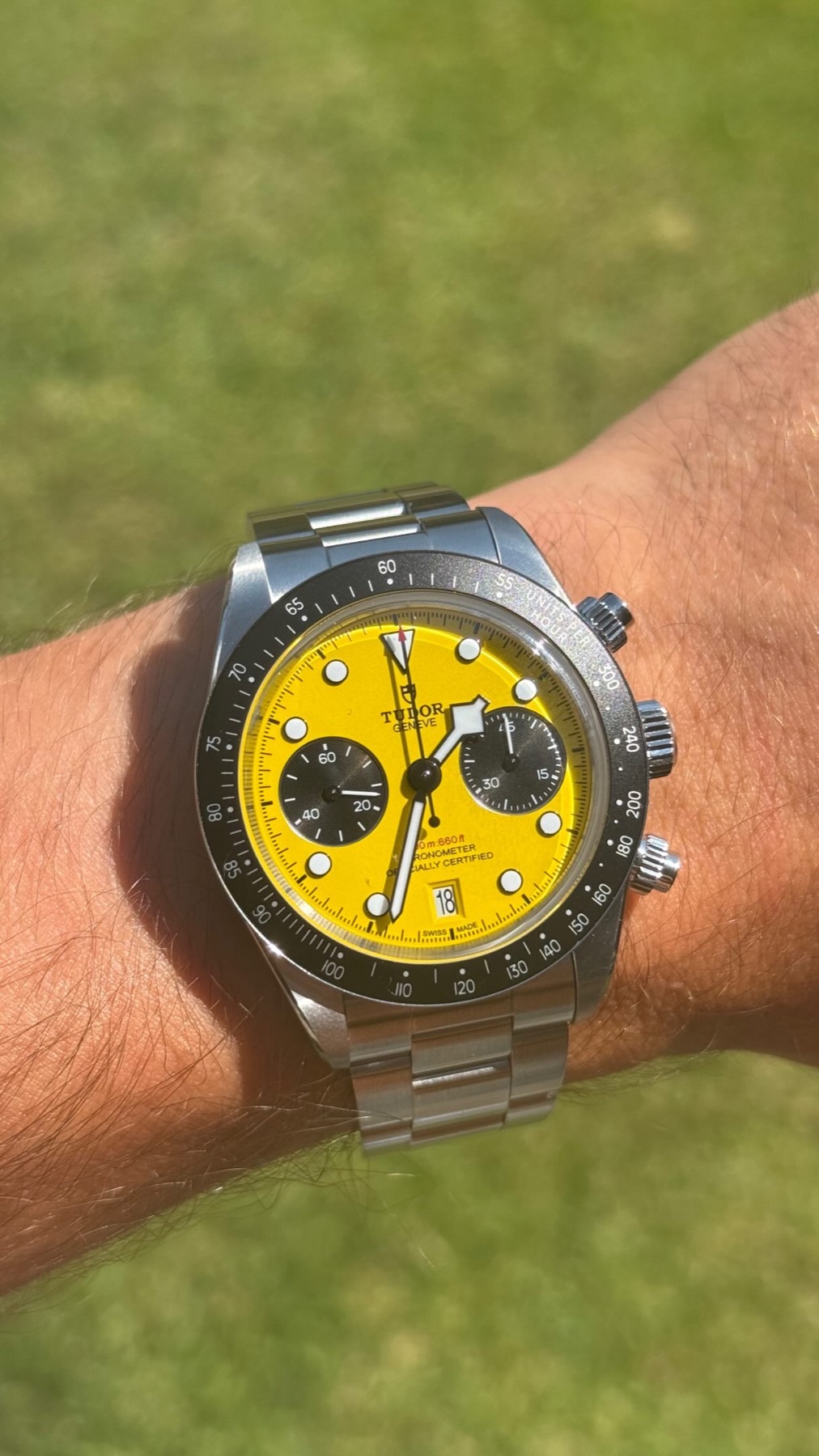 Tudor Black Bay Chrono 39 “Bumblebee”