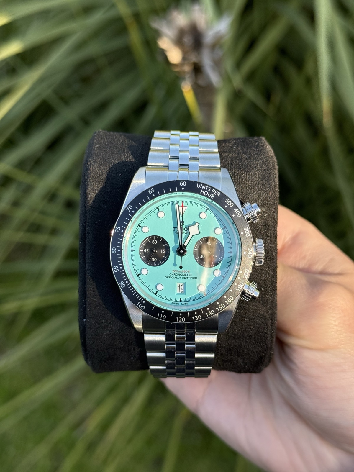 A Tudor Black Bay Chrono Flamingo Blue, shown as a similar example